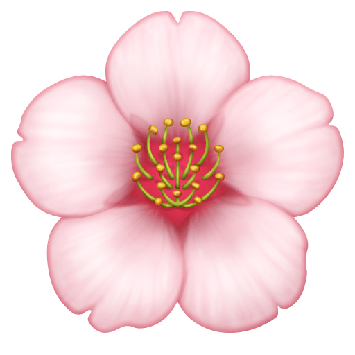 cherry blossom as rendered by Facebook