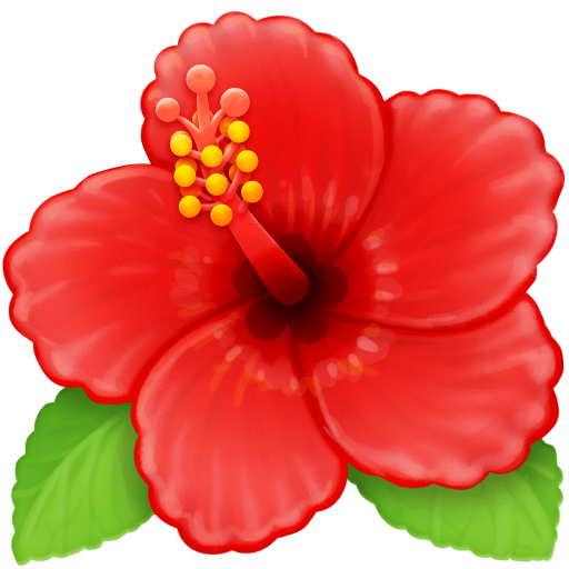Hibiskus as rendered by Facebook