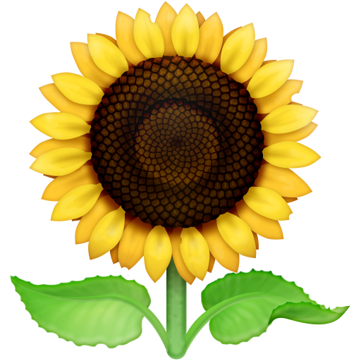 Sonnenblume as rendered by Facebook
