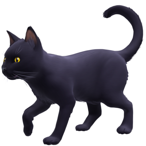 black cat as rendered by Facebook