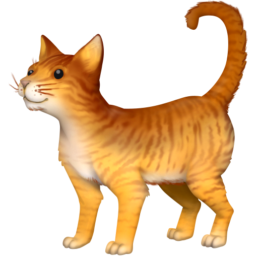 Gatto as drawn by Facebook in 16.0