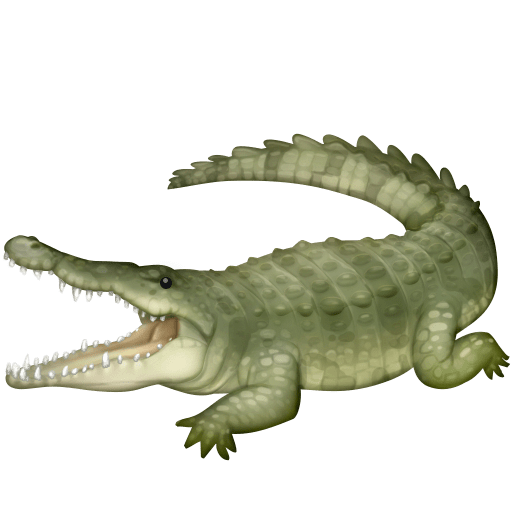 تمساح as rendered by Facebook