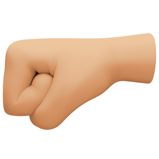 left-facing fist: medium-light skin tone as rendered by Facebook