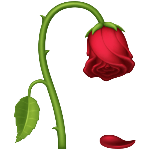 wilted flower as rendered by Facebook