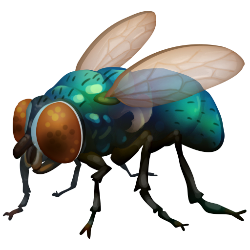 fly as rendered by Facebook