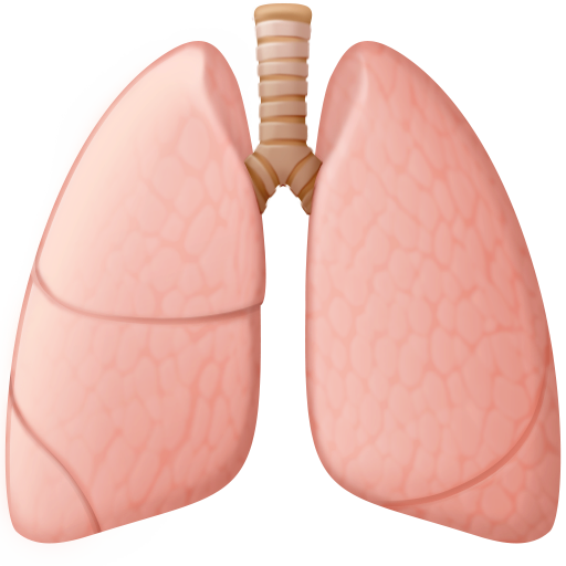 lungs as rendered by Facebook