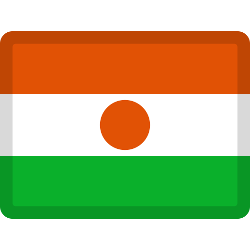 Flag: Niger as drawn by Facebook in 2.0