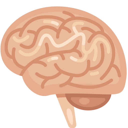Brain as drawn by Facebook in 2.1