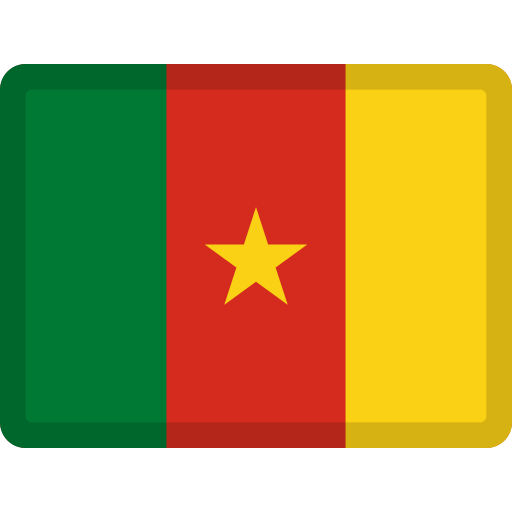 Flag: Cameroon as drawn by Facebook in 2.2