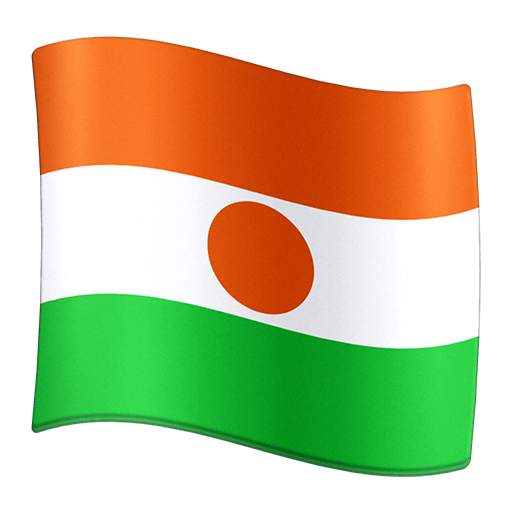 Flag: Niger as drawn by Facebook in 3.0