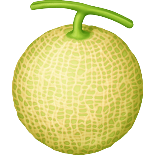 Melon as drawn by Facebook in 3.0