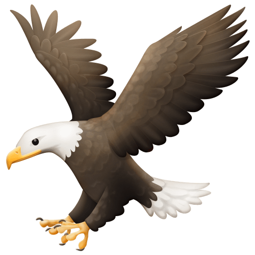 Eagle as drawn by Facebook in 3.0