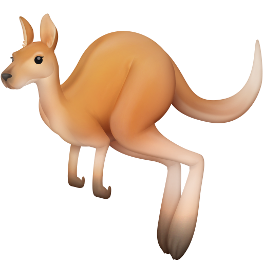 Kangaroo as drawn by Facebook in 3.0