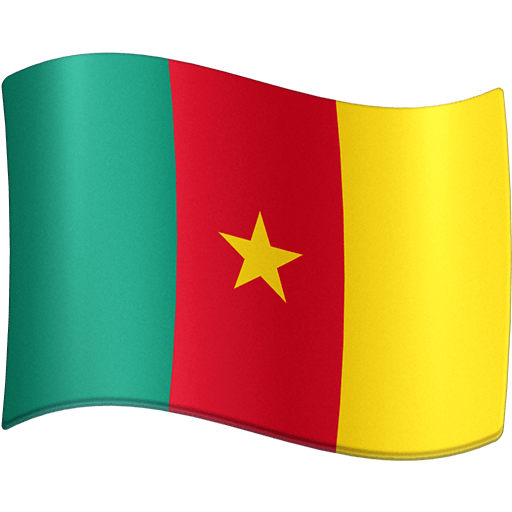 Flag: Cameroon as drawn by Facebook in 3.1
