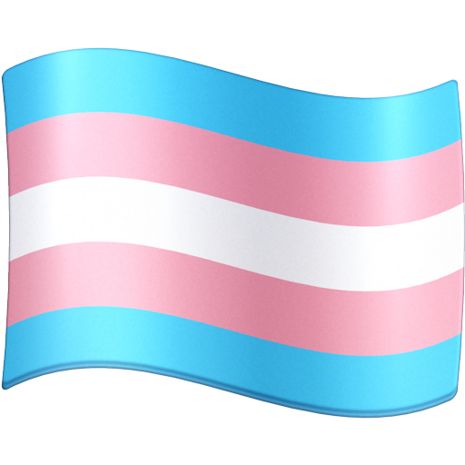 Transgender Flag, the design in this release