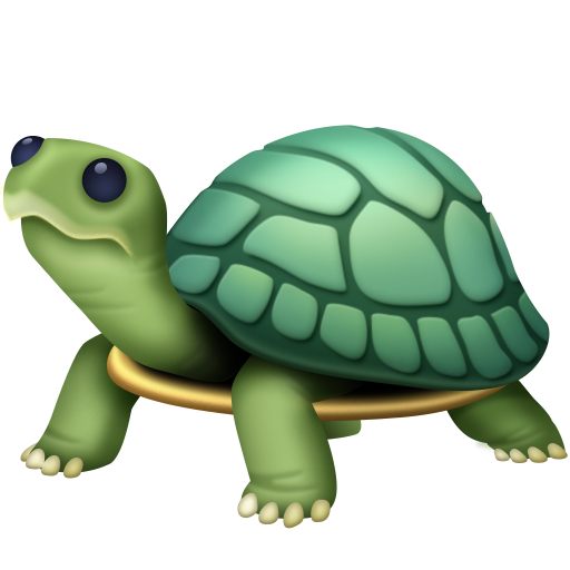 Tartaruga as drawn by Facebook in 4.0