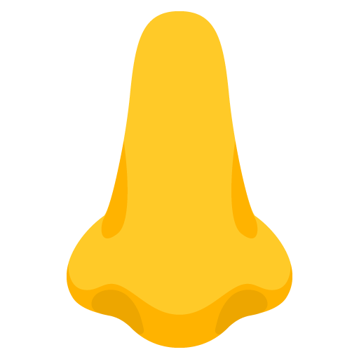 Nose as drawn by Google in 15.0