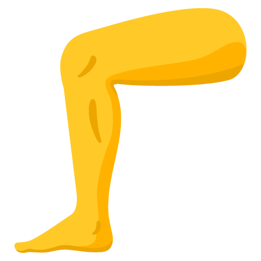 Leg as drawn by Google in 15.0