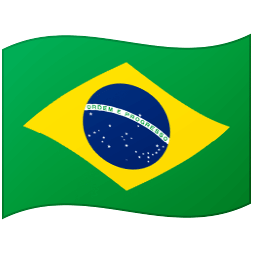 Flag: Brazil as drawn by Google in 15.1