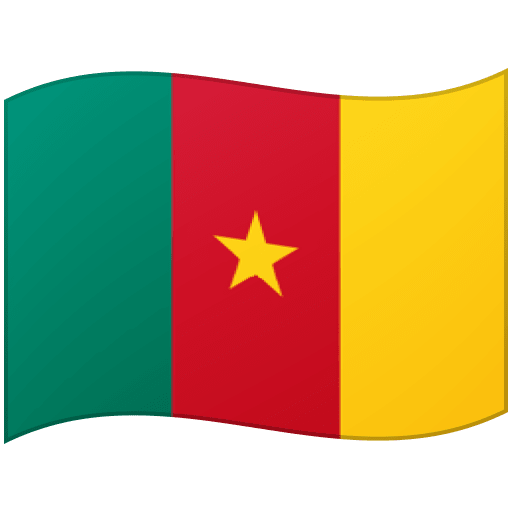 Flag: Cameroon as drawn by Google in 16.0