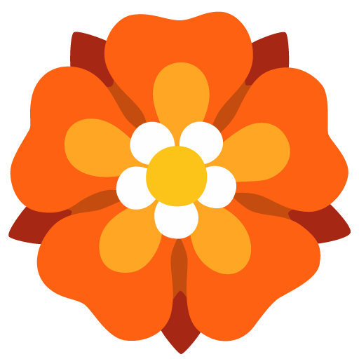 Rosette as drawn by Google in 16.0