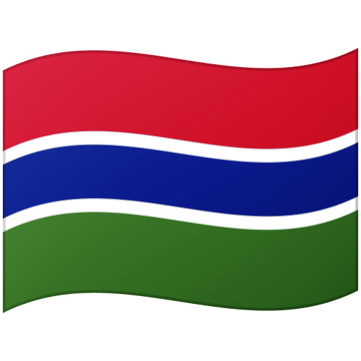 flag: Gambia as rendered by Google