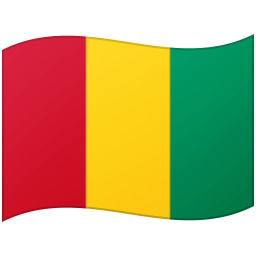 flag: Guinea as rendered by Google