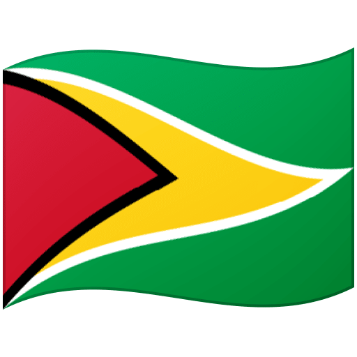flag: Guyana as rendered by Google