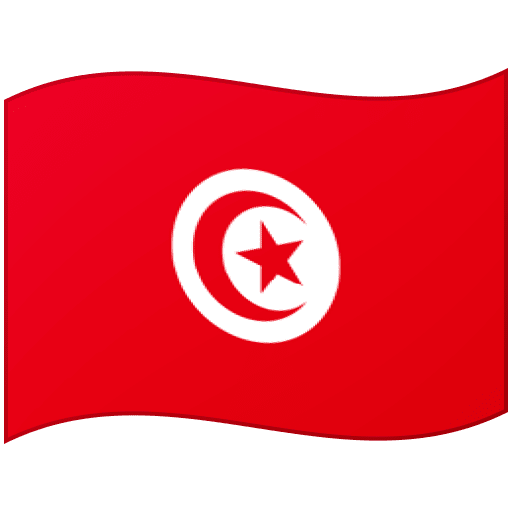 Flag: Tunisia as drawn by Google in 17.0