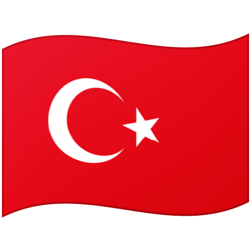 Flag: Türkiye as drawn by Google in 17.0