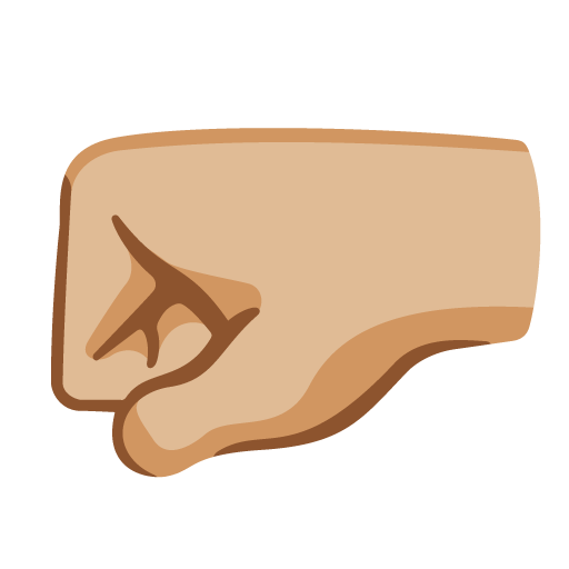 left-facing fist: medium-light skin tone as rendered by Google