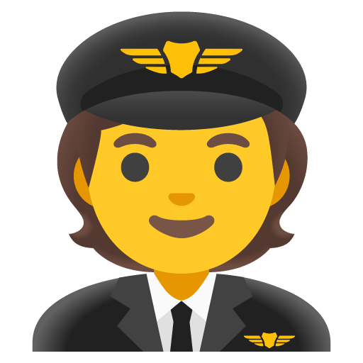pilot as rendered by Google