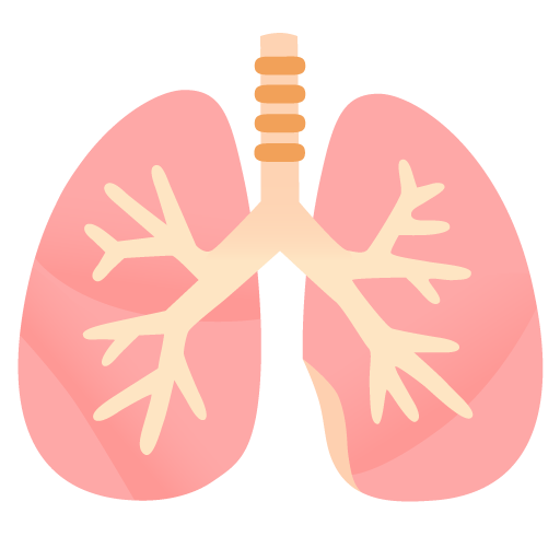 lungs as rendered by Google