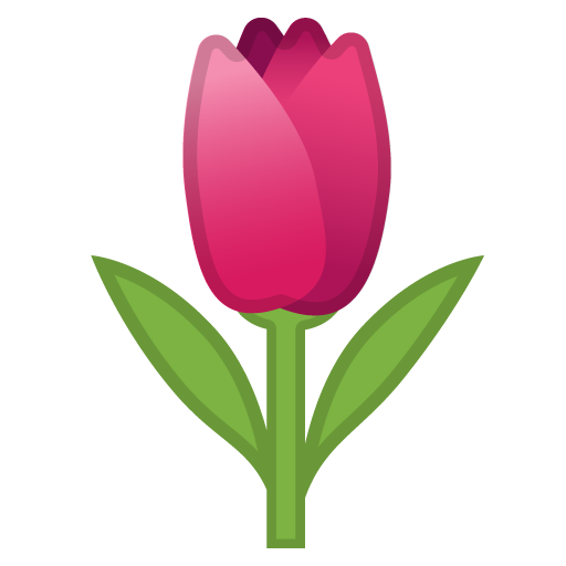 Tulip as drawn by Google in Android 10.0