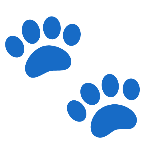 Paw Prints as drawn by Google in Android 11.0