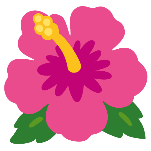 Hibiscus as drawn by Google in Android 12.0