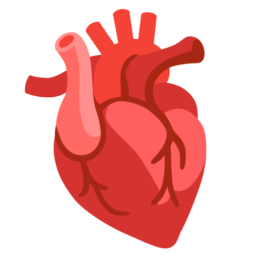 Anatomical Heart, the previous design
