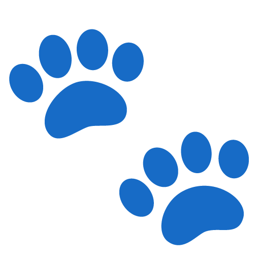 Paw Prints as drawn by Google in Android 12l