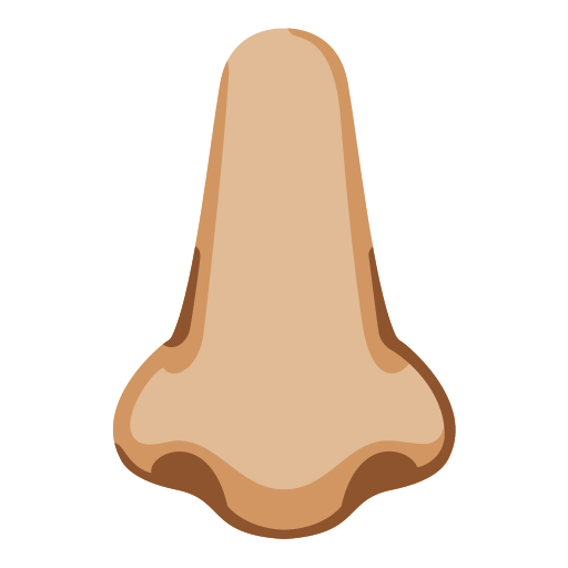 nose: medium-light skin tone — Google