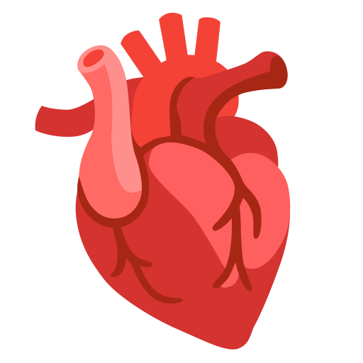 anatomical heart — Google