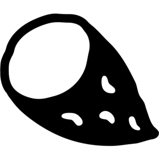Roasted Sweet Potato, the previous design