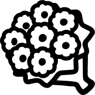 Bouquet, the previous design