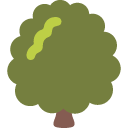 Deciduous Tree as drawn by Google in Android 4.4