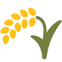 Sheaf of Rice, the design in this release