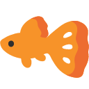 Tropical Fish, the design in this release