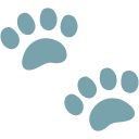 Paw Prints as drawn by Google in Android 4.4