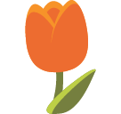 Tulip as drawn by Google in Android 5.0