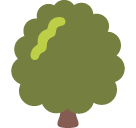 Deciduous Tree as drawn by Google in Android 6.0.1