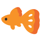 Tropical Fish, the previous design