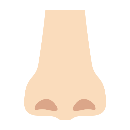 Nose: Light Skin Tone, the previous design